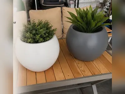 Küre Saksı