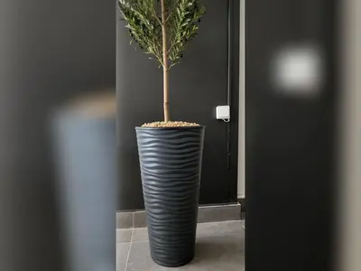Vazo Saksı
