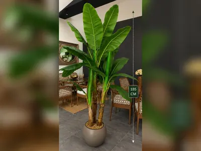 Yapay Muz Ağacı (Üç Gövdeli) 185 cm