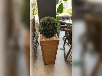 Yapay Top Şimşir Ahşap Vazolu 100 cm